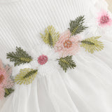 MISOWMNJOY Baby Girl Fall Outfit Spring Fall Long Sleeve Cardigan Coat Flower Embroidery Tulle Tank Dress Toddler 2 Piece Set